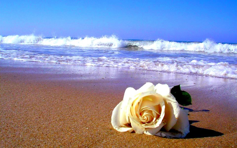 weddings in myrtle beach